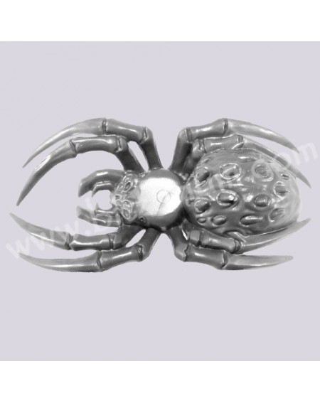 Araignée 1