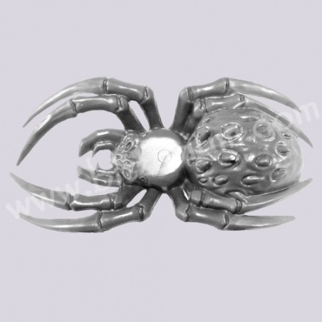 Spider 1
