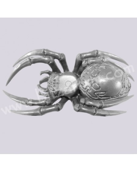 Araignée 2