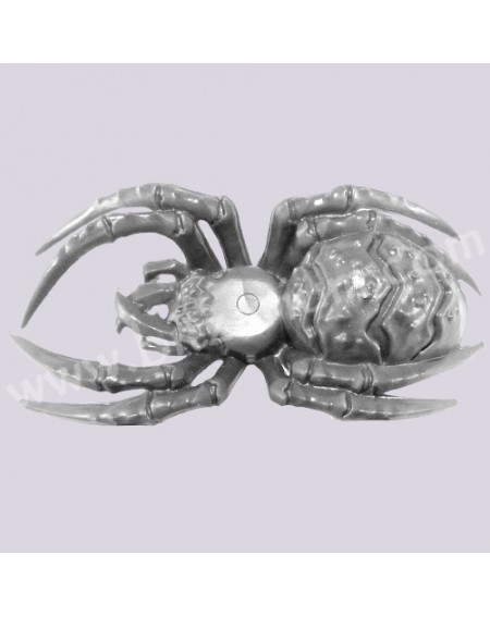 Spider 4