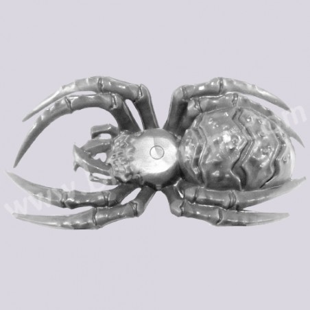 Araignée 4