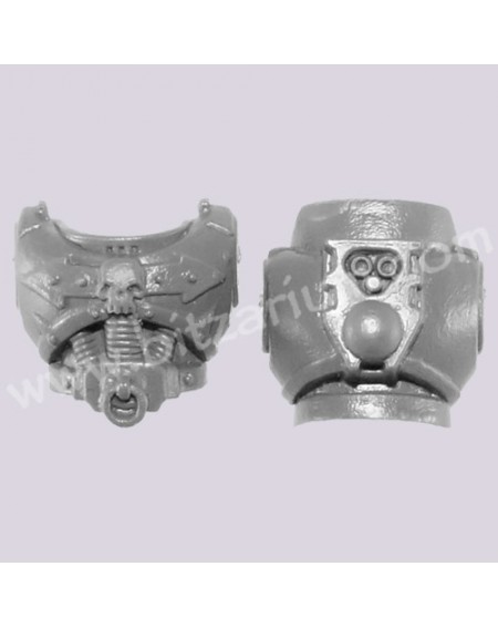 Torse de Motard