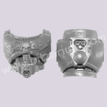 Torse de Motard