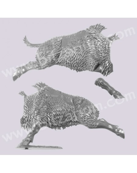 Boar Body 1