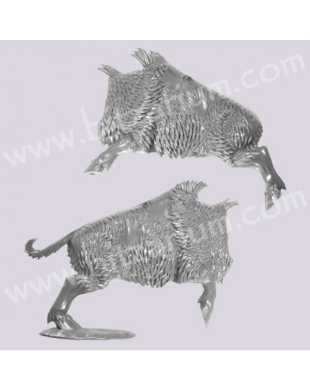 Corps de Sanglier 3