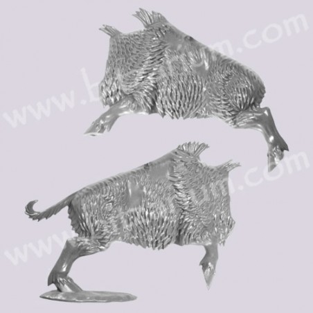 Corps de Sanglier 3 - Savage Boarboys