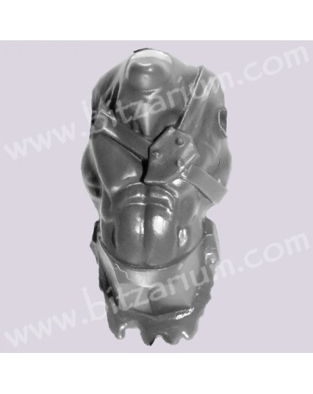 Body 5