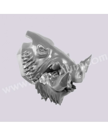 Boar Head 2