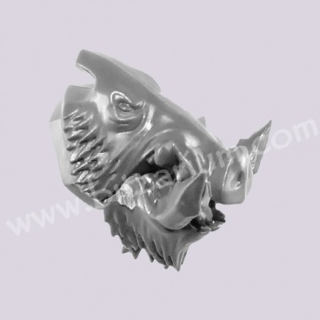 Boar Head 2 - Boarboys savage