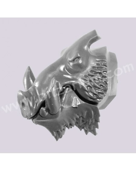 Boar Head 5