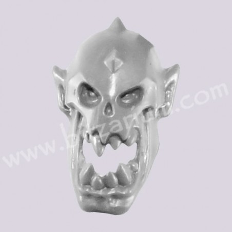Head 5 - Boarboys savage