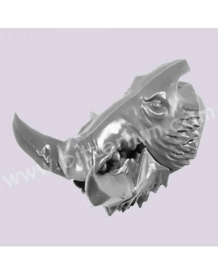 Boar Head 6