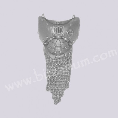 Aspiring Champion front Chest