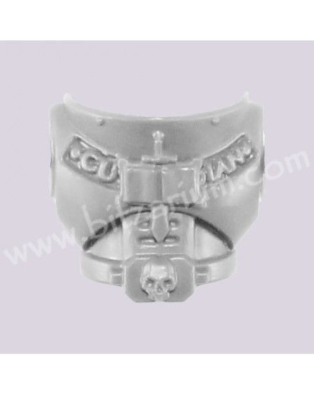 Front Chest 1