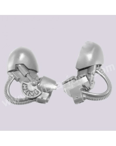 Pair of Arms B