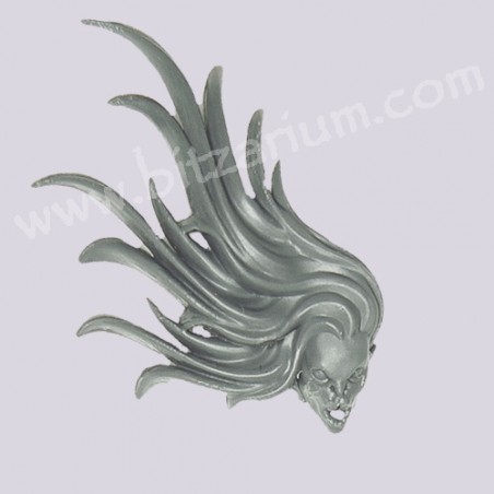 Champion's Head 1