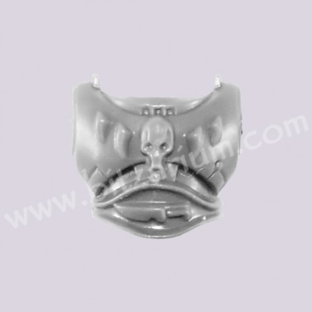 Front Chest 2