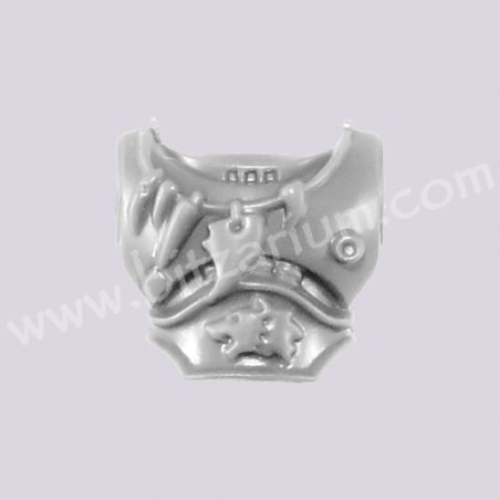 Front Chest 3
