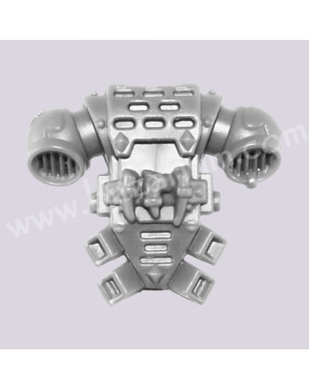 Pack dorsal 2