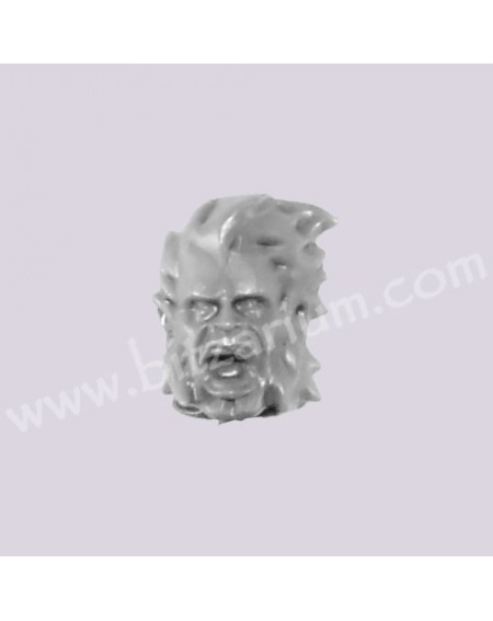 Head 4
