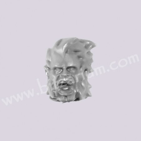 Head 4