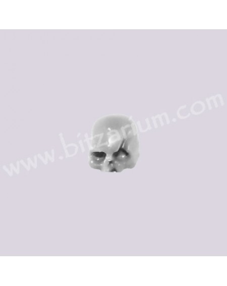 Skull 1