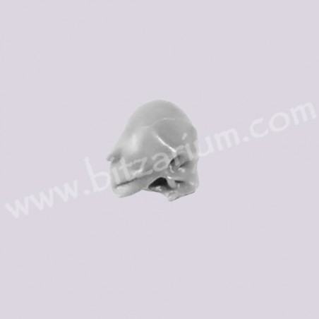 Skull 2