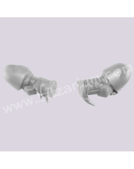 Bras 2