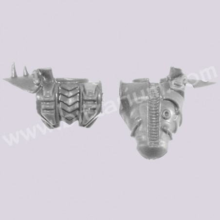 Torse masculin 1 - Wyches