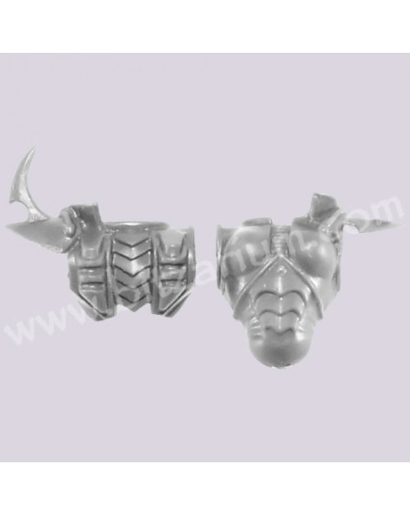 Female Torso 1