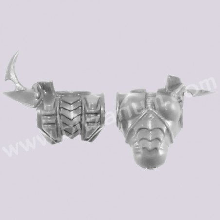 Female Torso 1