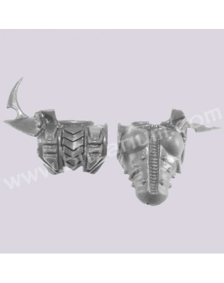 Female Torso 2