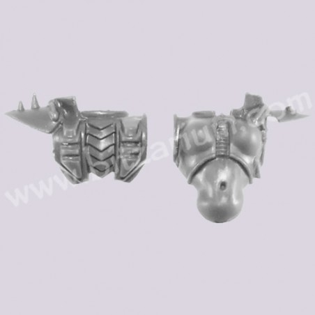 Female Torso 5