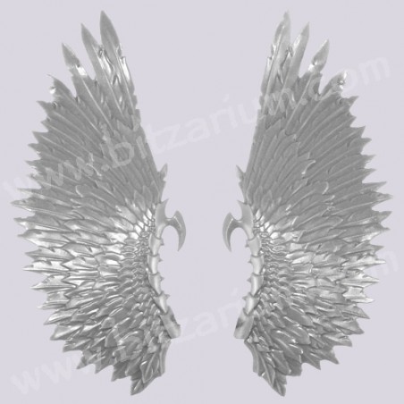 Wings 1