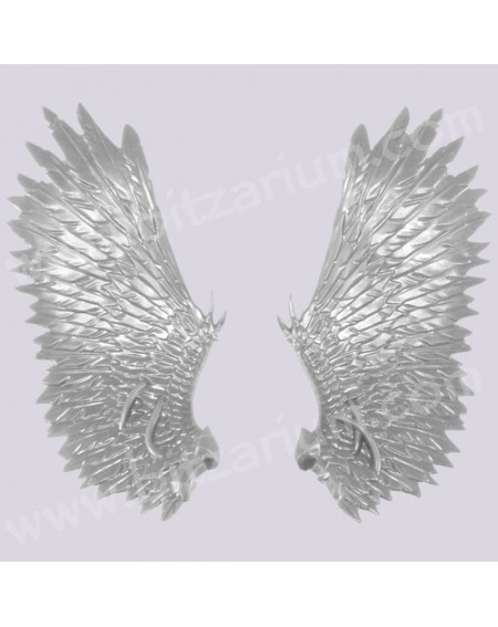 Ailes 5
