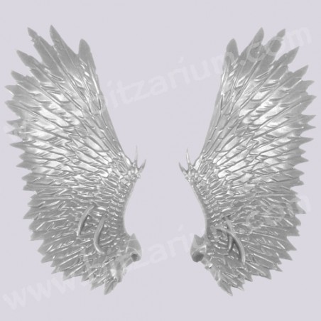Ailes 5