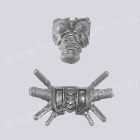 Torso 2