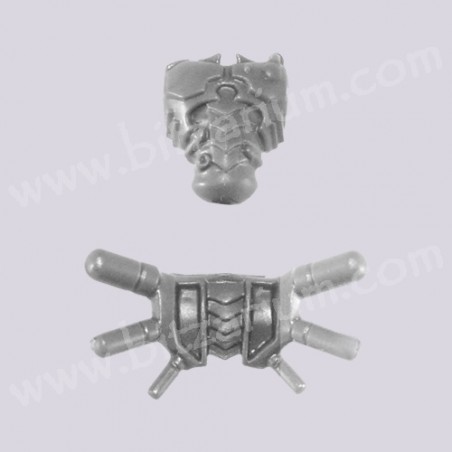 Torso 3
