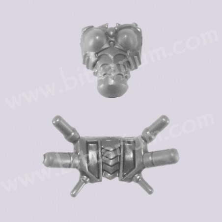 Torso 4