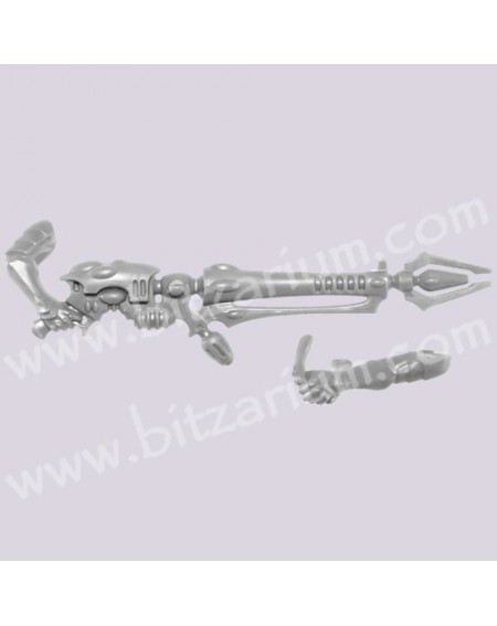Fusil Disrupteur