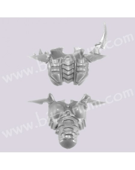 Female Torso 2