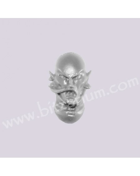 Head 2