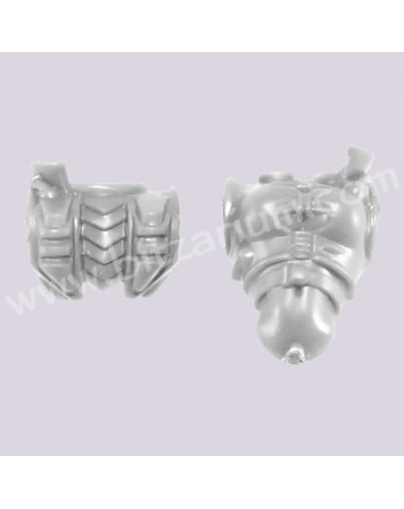Female Torso 1