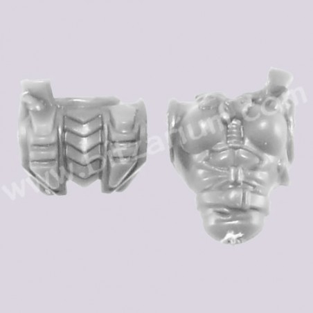 Female Torso 2 - Hellions
