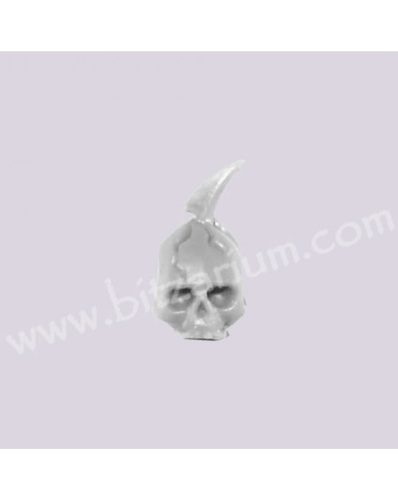 Skull 1