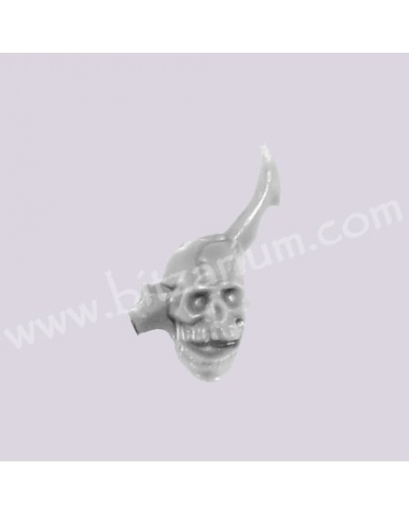 Skull 3