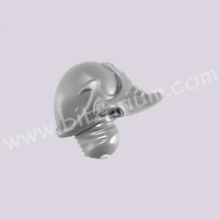 Head 6
