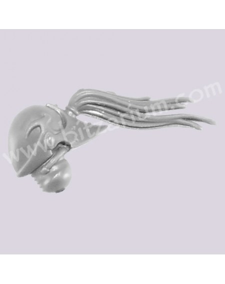 Head 7
