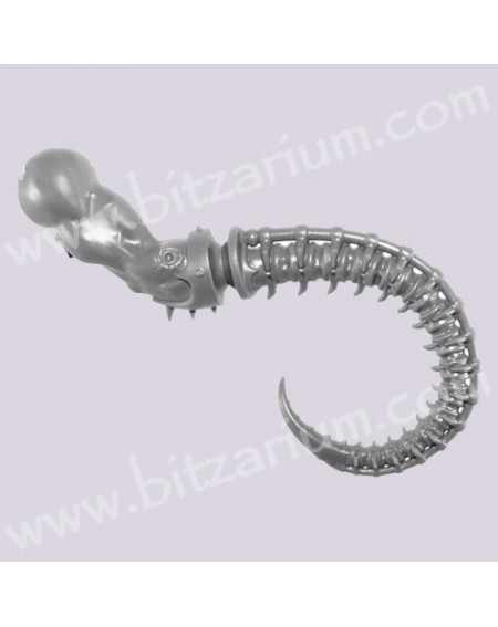Tentacule droit