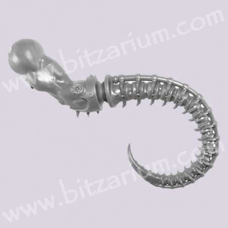 Tentacule droit